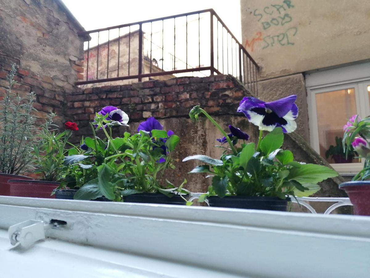Tara Paris Belgrade Apartment Belgrado Exterior foto